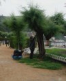 /album/galeria/fullsizerender-19-jpg/
